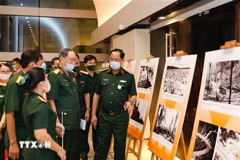 Các đại biểu tham quan triển lãm. (Ảnh: Dương Giang/TTXVN)