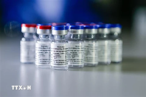 Vắcxin ngừa bệnh COVID-19 của Nga do Viện khoa học nghiên cứu về dịch tễ học và vi trùng học Gamaleya phát triển. (Ảnh: THX/TTXVN)