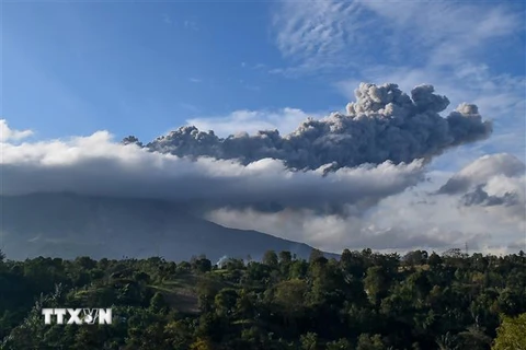 Cột tro bụi phun lên từ miệng núi lửa Sinabung ở Karo, Bắc Sumatra, Indonesia, ngày 8/8. (Ảnh: AFP/TTXVN)