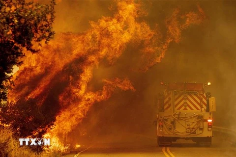 Cháy rừng dữ dội gần Lake Berryessa ở Napa, California (Mỹ). (Ảnh: AFP/TTXVN)