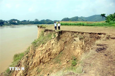 Nhiều diện tích đất soi bãi của người dân xã Trường Sinh bị mất trắng do sạt lở. (Ảnh: Quang Cường/TTXVN)