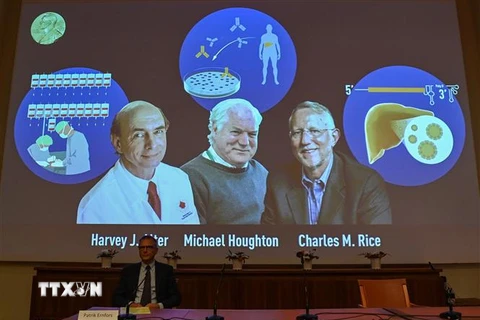 Chân dung các nhà khoa học đoạt giải Nobel Y học 2020 (trên màn hình, từ trái sang) Harvey Alter (Mỹ), Michael Houghton (Anh) và Charles Rice (Mỹ) trong cuộc họp báo công bố về giải thưởng ở Viện Karolinska, thủ đô Stockholm (Thụy Điển). (Ảnh: AFP/TTXVN)