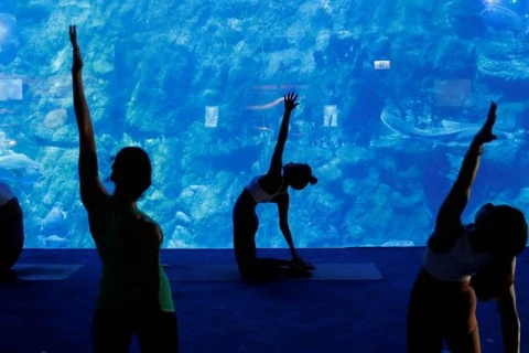 Lớp học yoga giữa lòng đại dương. (Nguồn: Reuters)