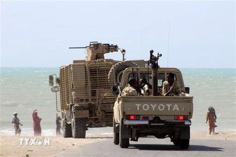 Các lực lượng ủng hộ Chính phủ Yemen trong chiến dịch truy quét phiến quân Houthi tại khu vực ngoại ô Hodeidah, Yemen. (Ảnh: AFP/TTXVN)