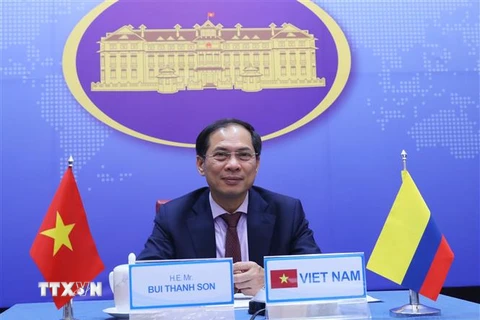 Thứ trưởng Thường trực Bộ Ngoại giao Bùi Thanh Sơn đồng chủ trì cuộc tham khảo chính trị giữa Bộ Ngoại giao Việt Nam và Colombia. (Ảnh: Lâm Khánh/TTXVN)