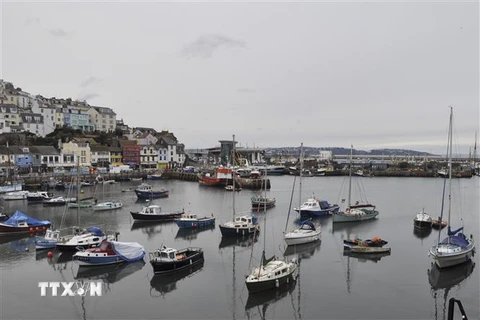 Các thuyền đánh cá neo tại cảng ở Brixham, Anh. (Ảnh: AFP/TTXVN)