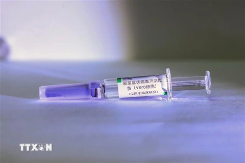 Mẫu vắcxin bất hoạt phòng dịch viêm đường hô hấp cấp COVID-19 được sản xuất tại nhà máy của Sinopharm ở Bắc Kinh, Trung Quốc. (Ảnh: THX/TTXVN)