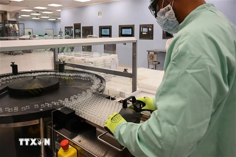 Kỹ thuật viên giám sát việc sản xuất quy mô lớn và cung ứng vắcxin phòng COVID-19. (Ảnh: AFP/TTXVN)