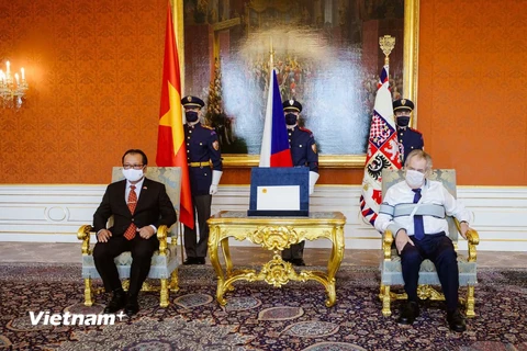 Tổng thống Séc Miloš Zeman (phải) tiếp Đại sứ Thái Xuân Dũng. (Ảnh: TTXVN/phát)