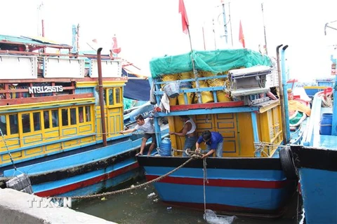 Ngư dân xã Cà Ná, huyện Thuận Nam, Ninh Thuận, khẩn trương neo đậu tàu thuyền tránh bão. (Ảnh: Công Thử/TTXVN)