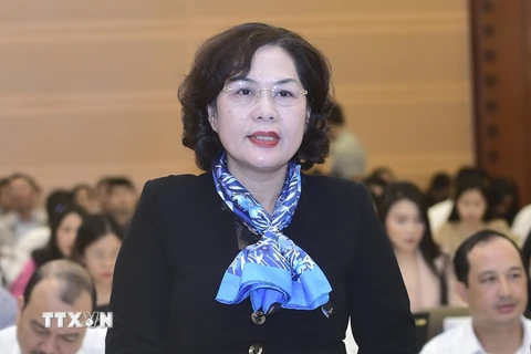 Bà Nguyễn Thị Hồng. (Ảnh: Doãn Tấn/TTXVN)