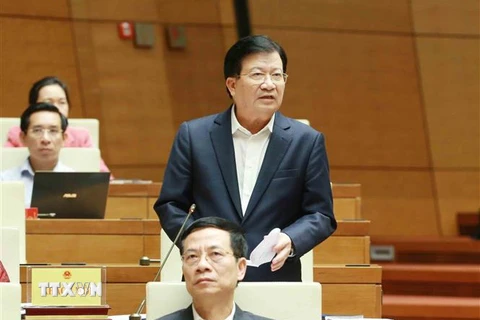 Phó Thủ tướng Trịnh Đình Dũng trả lời chất vấn của đại biểu Quốc hội. (Ảnh: Phương Hoa/TTXVN)
