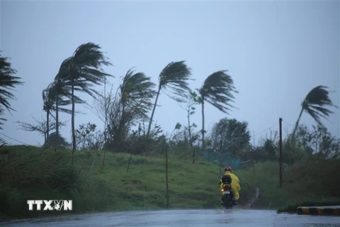 Gió giật mạnh trước khi bão Vamco đổ bộ vào thành phố Legazpi, tỉnh Albay, Philippines. (Ảnh: AFP/TTXVN)