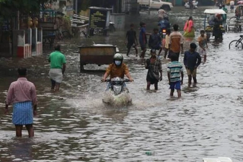 Nivar được xếp là cơn bão có sức tàn phá nghiêm trọng. (Nguồn: indianexpress.com)