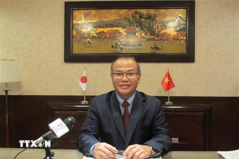 Đại sứ Vũ Hồng Nam trả lời phỏng vấn TTXVN. (Ảnh: Đào Thanh Tùng/TTXVN)