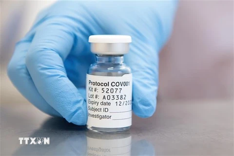 Vắcxin ngừa COVID-19 do hãng dược phẩm liên doanh Anh-Thụy Điển AstraZeneca phát triển. (Ảnh: AFP/TTXVN)