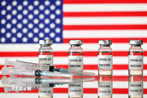 Hình ảnh mô phỏng vắcxin ngừa COVID-19 của Mỹ. (Ảnh: AFP/TTXVN)