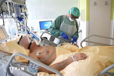 Nhân viên y tế điều trị cho bệnh nhân mắc COVID-19 tại một bệnh viện ở Vienna, Áo. (Ảnh: AFP/TTXVN)