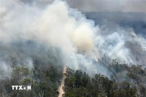 Khói bốc lên từ đám cháy rừng trên đảo Fraser thuộc bang Queensland, Australia. (Ảnh: AFP/TTXVN)