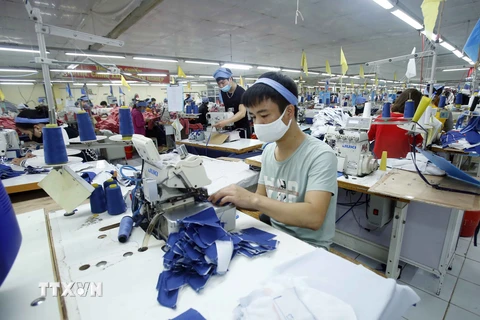 Sản xuất sản phẩm may mặc tại Công ty Cổ phần may Tiên Hưng (huyện Tiên Lữ, Hưng Yên). (Ảnh: Phạm Kiên/TTXVN)