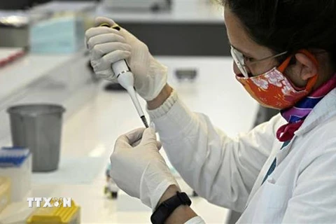 Nghiên cứu viên thử nghiệm vắcxin COVID-19. Ảnh minh họa. (Ảnh: Getty Images/TTXVN)