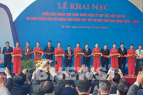 Phó Thủ tướng Trịnh Đình Dũng và các đại biểu cắt băng khai mạc triển lãm. (Ảnh: Uyên Hương/TTXVN)