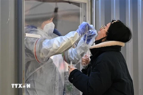 Nhân viên y tế lấy mẫu dịch xét nghiệm COVID-19 cho người dân tại Seoul, Hàn Quốc. (Ảnh: AFP/TTXVN)