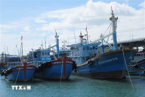 Tàu cá khai thác xa bờ của ngư dân neo đậu tại bến cá Mỹ Tân (xã Thanh Hải, huyện Ninh Hải, Ninh Thuận). (Ảnh: Nguyễn Thành/TTXVN)