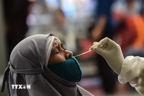 Nhân viên y tế lấy mẫu xét nghiệm COVID-19 tại Jakarta, Indonesia. (Ảnh: THX/TTXVN)