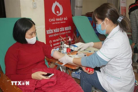 Người dân đến tham gia hiến máu tại Ngày Chủ nhật Đỏ. (Ảnh: Thùy Dung/TTXVN)