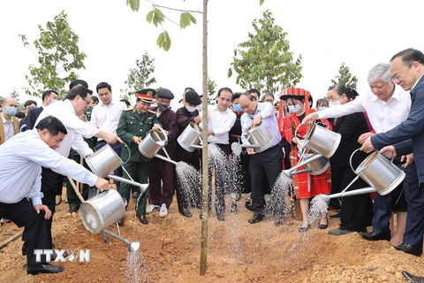 Thủ tướng Nguyễn Xuân Phúc và các đại biểu tham gia Lễ phát động Tết trồng cây. (Ảnh: Thống Nhất/TTXVN)