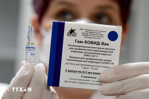 Vắcxin phòng COVID-19 Sputnik V của Nga. (Ảnh: AFP/TTXVN)