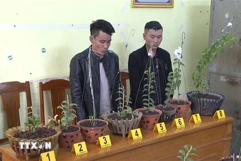 Hai đối tượng Hà Văn Thắng và Phạm Quang Hùng cùng tang vật vụ án tại cơ quan công an. (Ảnh: TTXVN)