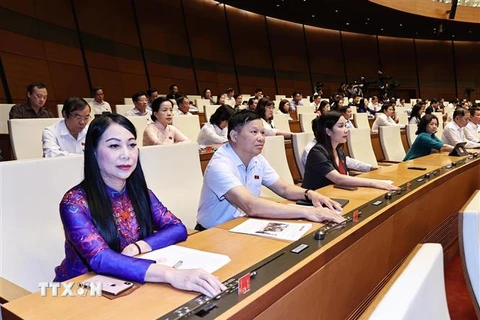 Các đại biểu Quốc hội biểu quyết thông qua Chủ nhiệm một số Ủy ban của Quốc hội, Tổng Thư ký Quốc hội và Tổng kiểm toán Nhà nước. (Ảnh: TTXVN)