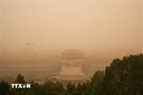 Bụi bao phủ dày đặc tại Bắc Kinh, Trung Quốc, ngày 15/3. (Ảnh: THX/TTXVN)