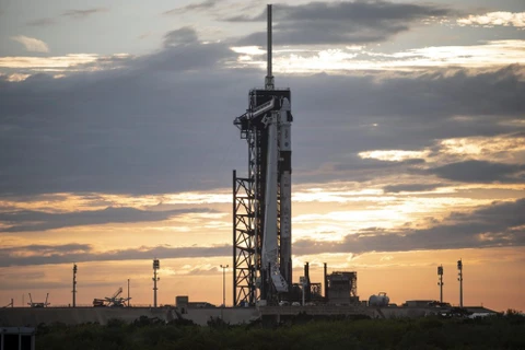 Tên lửa đẩy Falcon 9 mang theo tàu vũ trụ Crew Dragon của Tập đoàn SpaceX trên bệ phóng tại trung tâm vũ trụ Kennedy ở Florida, Mỹ ngày 19/4. (Nguồn: NASA)