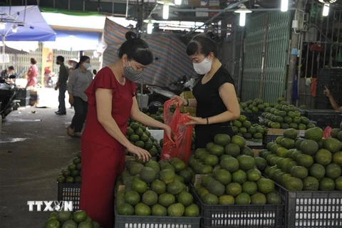 Người tiêu dùng mua hàng tại chợ đầu mối Long Biên. (Ảnh: Mạnh Khánh/TTXVN)