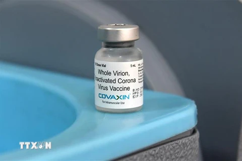 Vaccine Covaxin nội địa của Ấn Độ phòng COVID-19. (Ảnh: AFP/TTXVN)