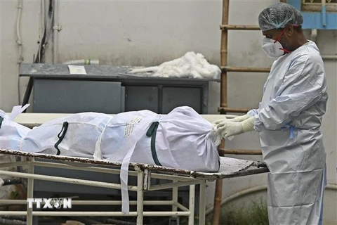 Chuyển thi thể bệnh nhân tử vong do COVID-19 tại New Delhi, Ấn Độ. (Ảnh: AFP/TTXVN)
