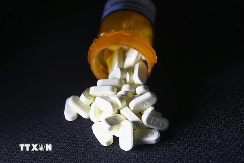 Thuốc giảm đau Oxycodone tại Norwich, Connecticut, Mỹ. (Ảnh: AFP/TTXVN)