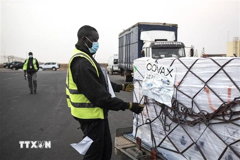 Nhân viên bốc dỡ các thùng vaccine ngừa COVID-19 được viện trợ theo chương trình vaccine COVAX toàn cầu tại Dakar, Senegal. (Ảnh: AFP/TTXVN)