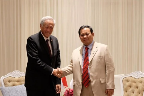 Bộ trưởng Quốc phòng Singapore Ng Eng Hen (trái) và người đồng cấp Indonesia, ông Prabowo Subianto tại cuộc gặp hồi tháng 11/2019. (Nguồn: straitstimes.com)