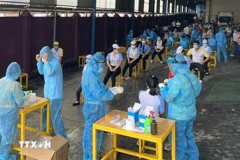 Các y bác sỹ Trung tâm kiểm soát bệnh tật Thành phố Hồ Chí Minh và Quận 7 thực hiện xét nghiệm sàng lọc COVID-19 ngẫu nhiên cho công nhân ở Khu chế xuất Tân Thuận. (Ảnh: Thanh Vũ/TTXVN)