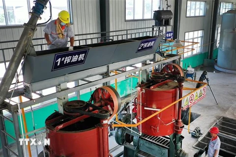 Công nhân làm việc tại một nhà máy ở Vị Nam, tỉnh Thiểm Tây, Trung Quốc. (Ảnh: THX/TTXVN)