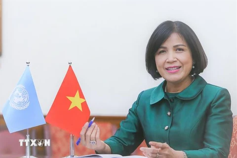Tiến sỹ Lê Thị Tuyết Mai, Đại sứ-Trưởng Phái đoàn đại diện thường trực Việt Nam bên cạnh Liên hợp quốc, WTO và các tổ chức quốc tế khác tại Geneva. (Ảnh: Tố Uyên/TTXVN)
