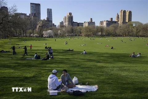 Người dân thư giãn tại khu Central Park ở New York, Mỹ. (Ảnh: AFP/TTXVN)