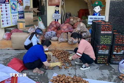 Các loại nông sản đặc trưng của Đà Lạt do người dân đóng góp để chuyển về Thành phố Hồ Chí Minh tiếp tế cho lực lượng tuyến đầu chống dịch. (Ảnh: TTXVN phát)