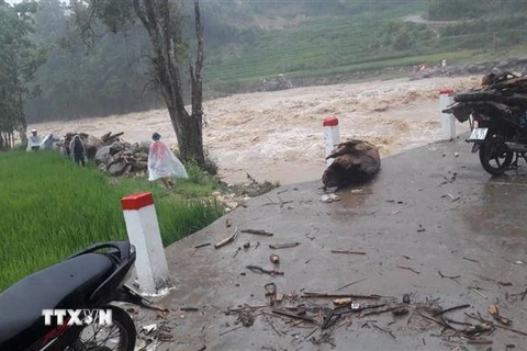 Nước lũ dâng cao tại nhiều suối trên địa bàn thị xã Sa Pa. (Ảnh: TTXVN phát)