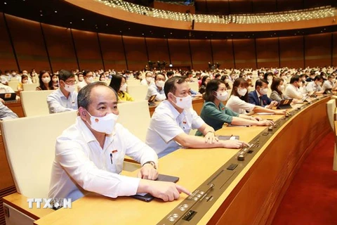 Đại biểu Quốc hội tỉnh Nam Định biểu quyết thông qua Nghị quyết về việc thành lập Đoàn giám sát chuyên đề của Quốc hội năm 2022. (Ảnh: Phương Hoa/TTXVN)