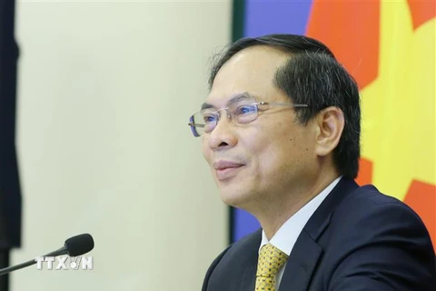 Bộ trưởng Bộ Ngoại giao Bùi Thanh Sơn phát biểu tại điểm cầu Hà Nội. (Ảnh: Phạm Kiên/TTXVN)